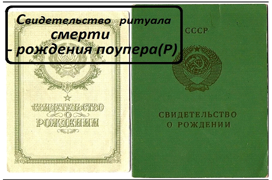 паспорт12